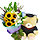 Graduation flower teddy