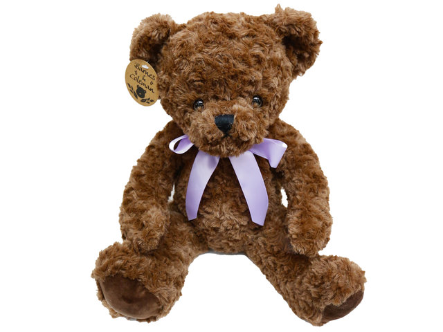 泰迪熊毛公仔 - Barnes & Coleman 經典朱古力棕色 Teddy Bear - L098585 Photo